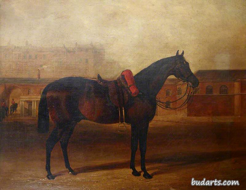 伦敦奥尔巴尼兵营阅兵场上的一匹战马