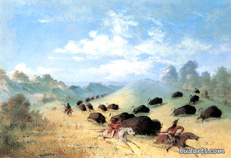 科曼奇印第安人用长矛和弓箭追赶水牛