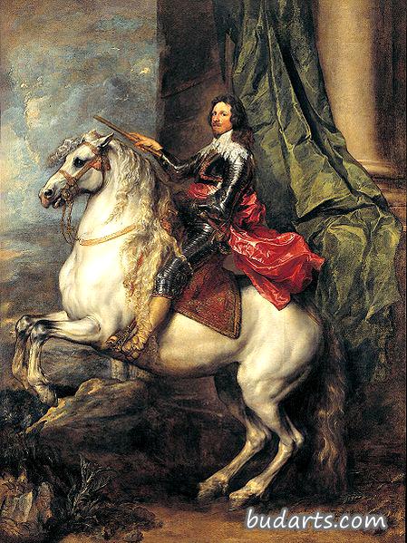萨伏伊·卡里南托马索王子的肖像画
