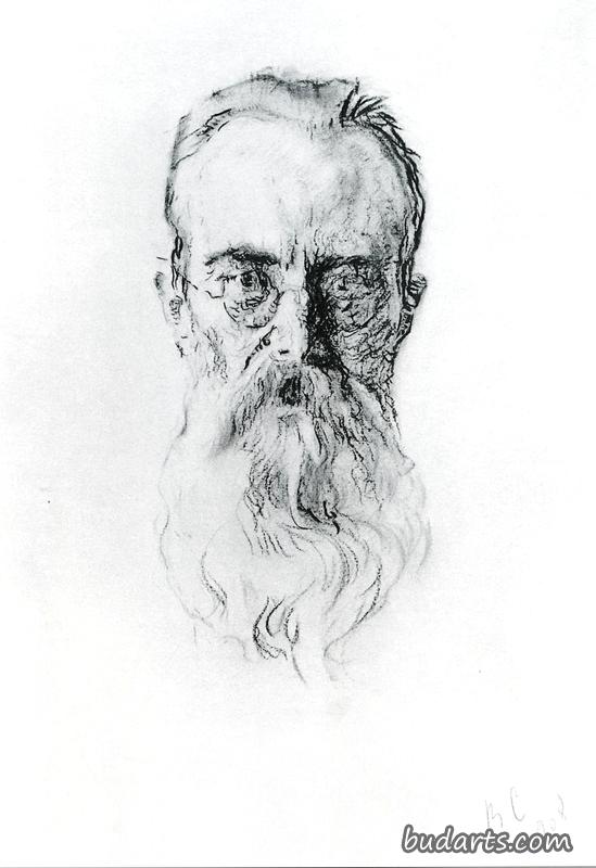 尼科凯·安德烈耶维奇·里姆斯基·科尔萨科夫的肖像