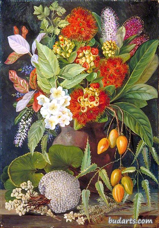 新西兰花卉和水果