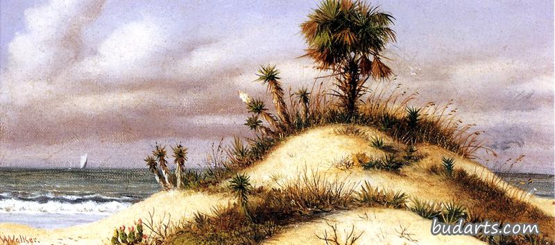 佛罗里达海景，有沙丘、棕榈树、丝兰、仙人掌和帆船