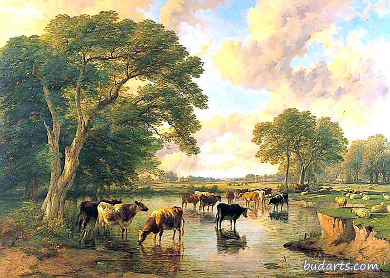 河边的牛