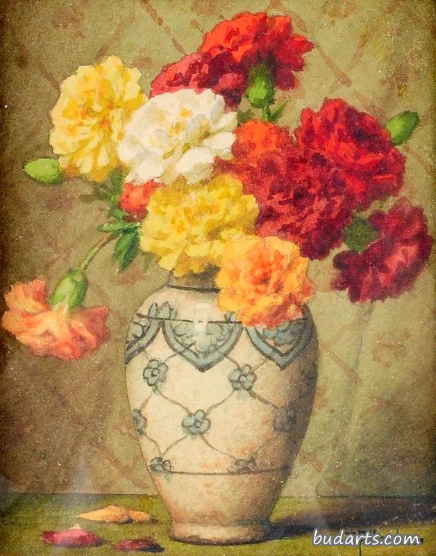 康乃馨花瓶