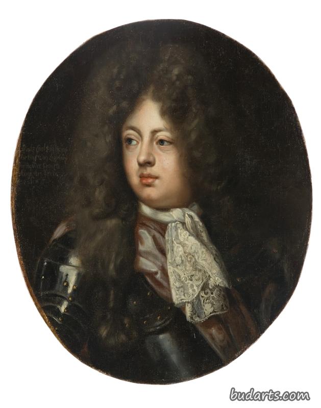 卡尔菲利普，布伦瑞克-吕内堡王子