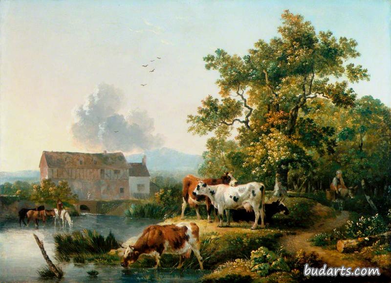 磨坊溪流中的牛群饮水景观