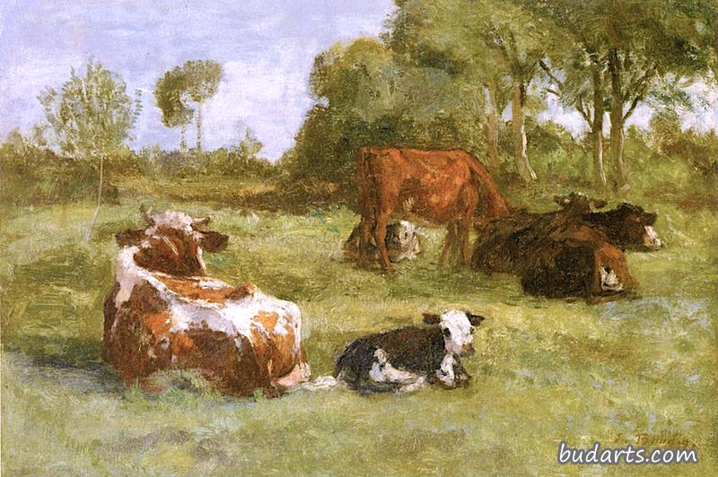 在霍夫勒附近，牧场上的奶牛