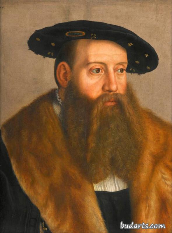 巴伐利亚公爵路德维希十世肖像1535