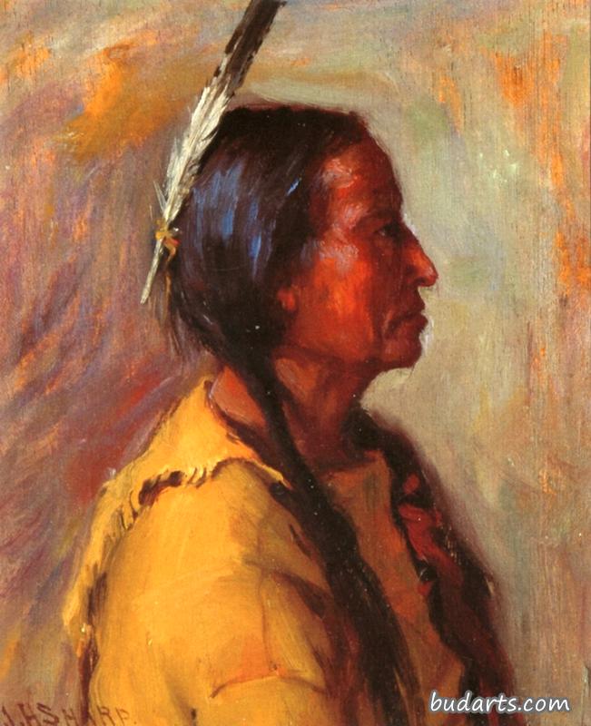 马丁内斯的肖像，前奥弗诺的陶斯，新墨西哥州