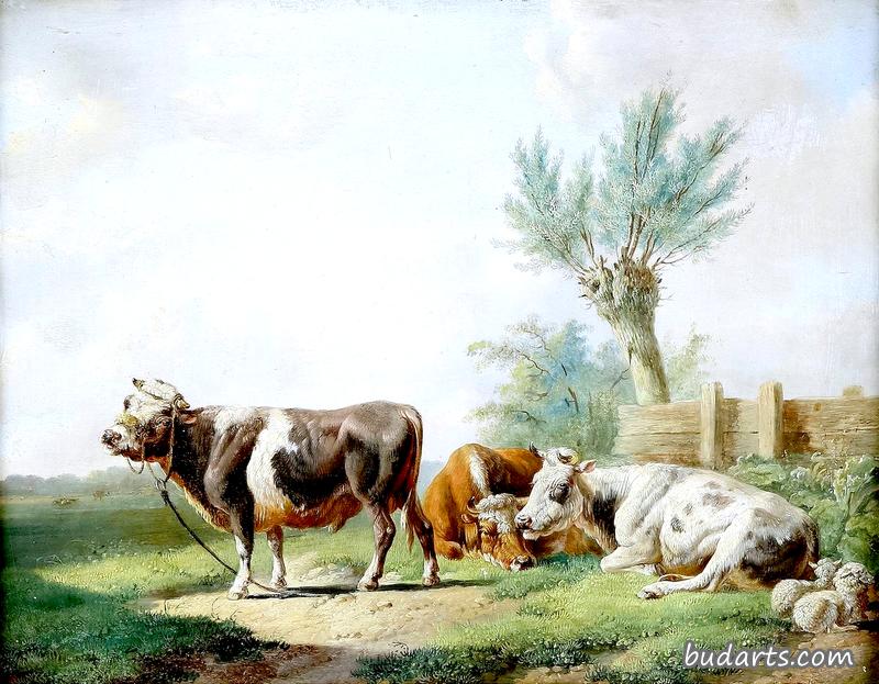 三头牛在牧场上休息