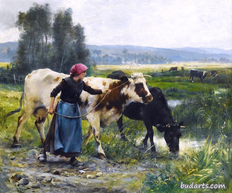 两头母牛的年轻农妇