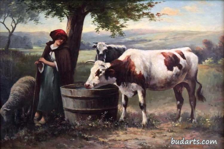 有牛的少女