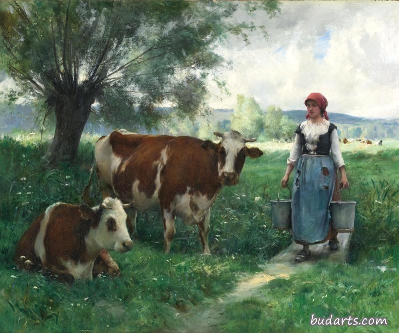 带着奶牛在牧场上挤奶的女工