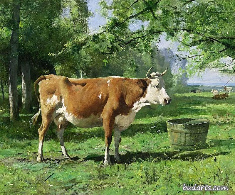 风景中的牛