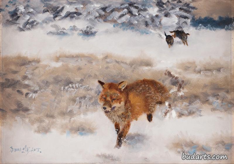有狐狸和猎犬的冬季景观