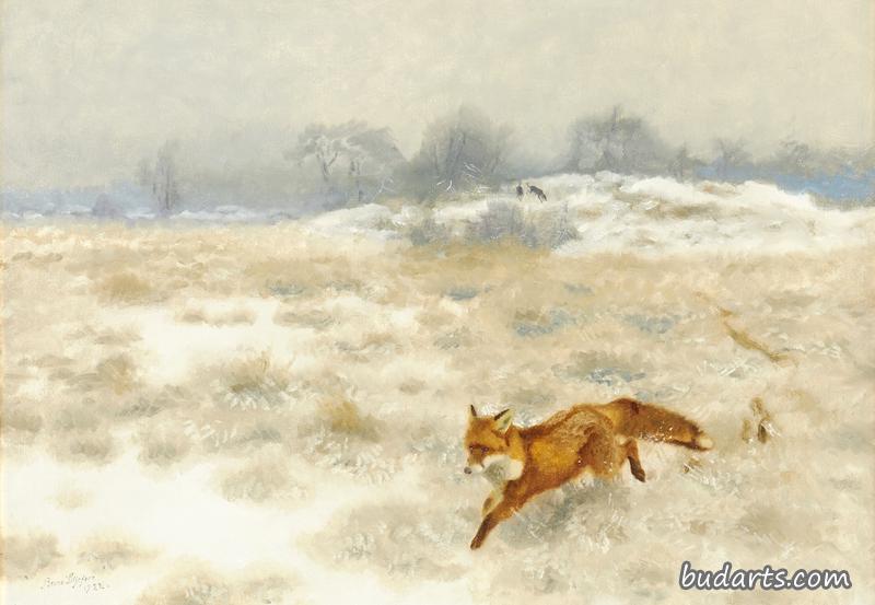 冬季风景中的狐狸和猎犬