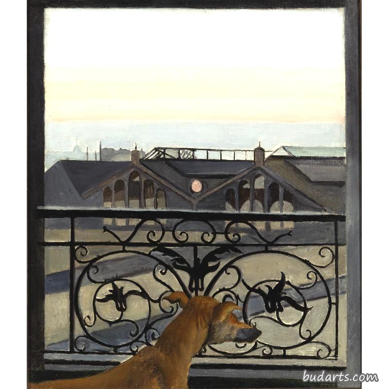 巴黎阳台上的狗