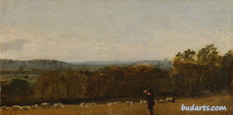 一个牧羊人在一片风景中穿过迪德姆山谷朝着兰厄姆望去