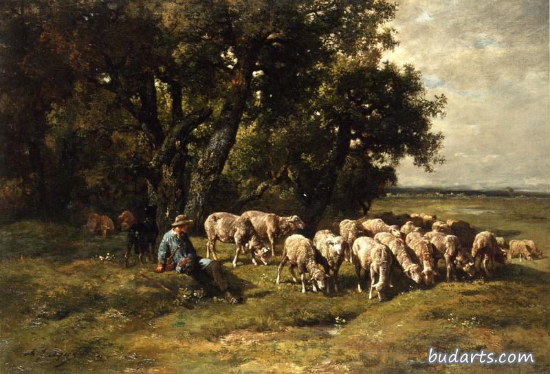 牧羊人和羊群