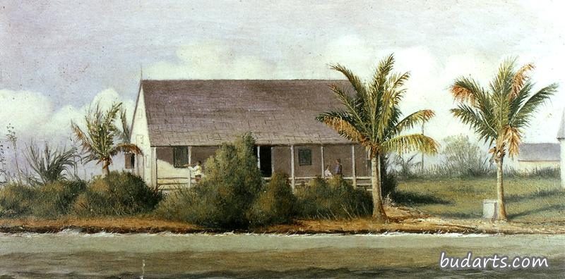海滩上有棕榈树的小屋（佛罗里达）
