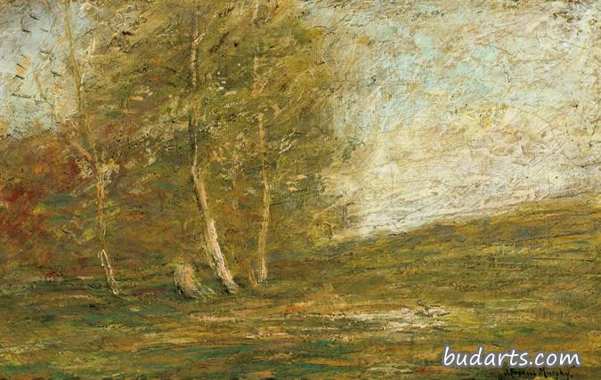 spring landscape