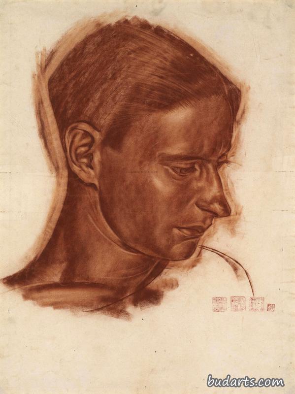瓦西里·舒卡耶夫的肖像