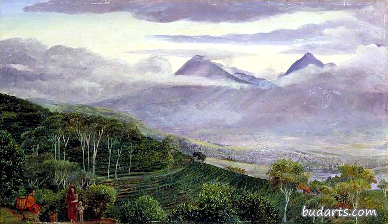 从赫勒先生的茶园可以看到爪哇的帕潘达扬火山