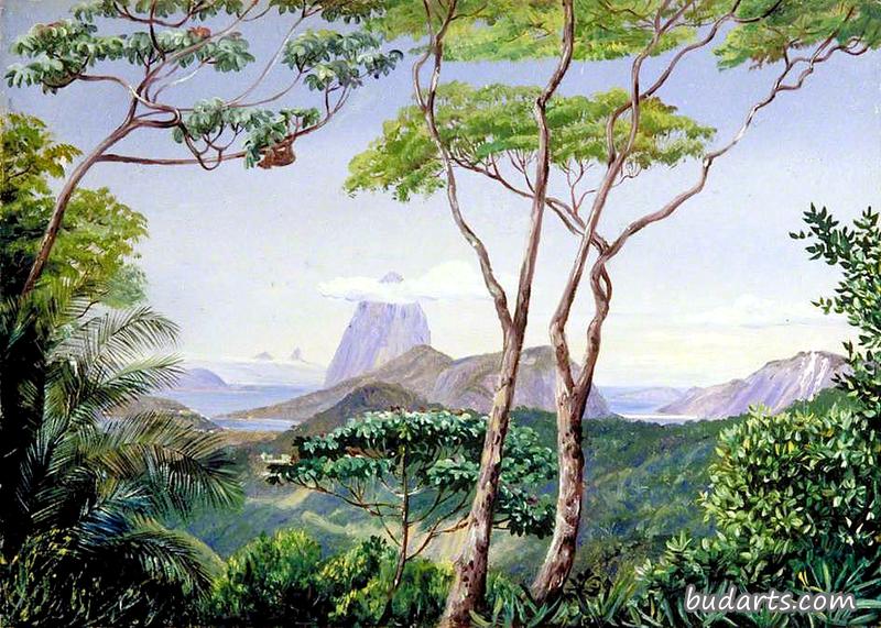 从里约热内卢的渡槽路可以看到Sugarloaf山