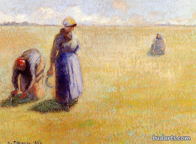 三个女人在割草