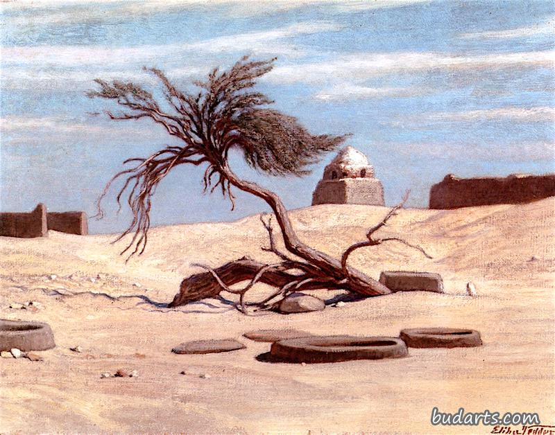 去埃及特拉阿玛诺路上的树和坟墓