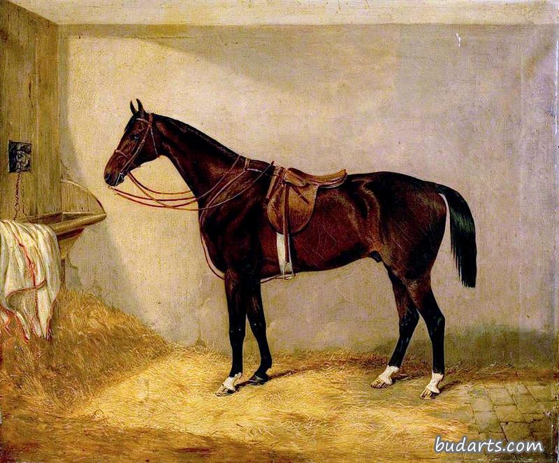 这匹马的肖像，在巴拉克拉瓦战役中属于伯顿少校