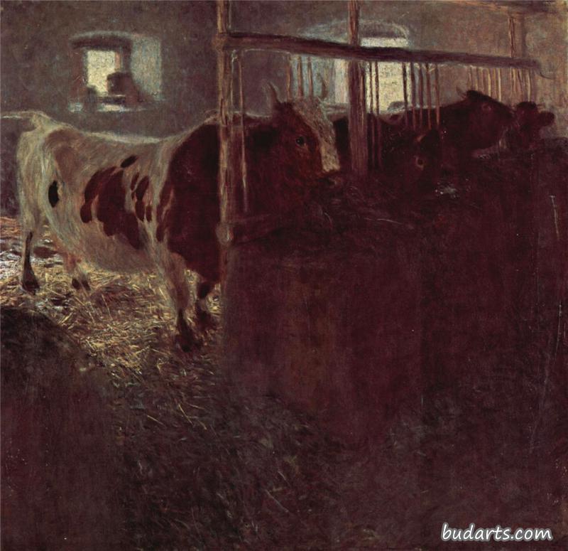 牛棚里的牛