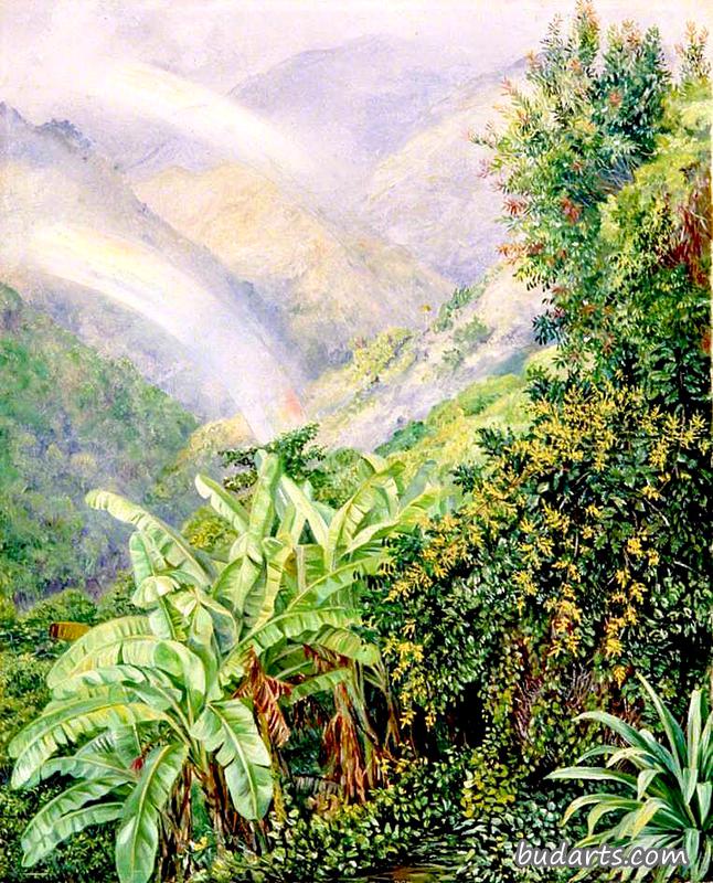 牙买加艺术家之家双彩虹景观