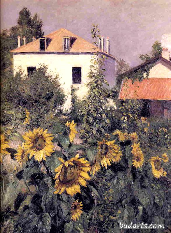 Sunflowers, Garden at Petit Gennevilliers
