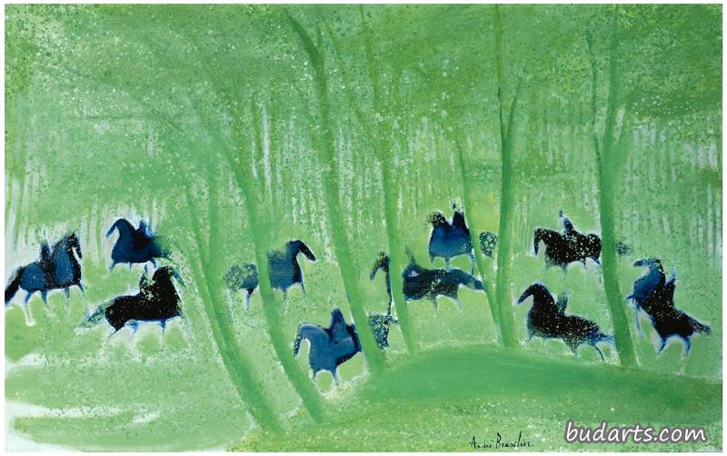 the undergrowth in spring