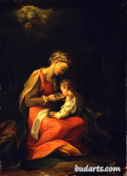 玛丽和基督的孩子