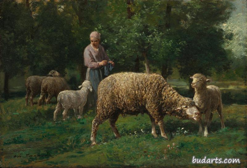 牧羊女和羊