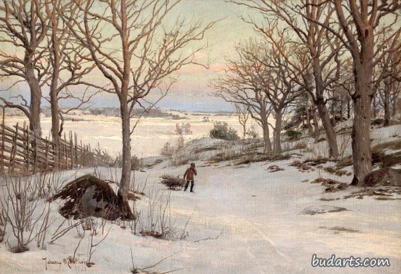 冬季景观中的雪橇男孩