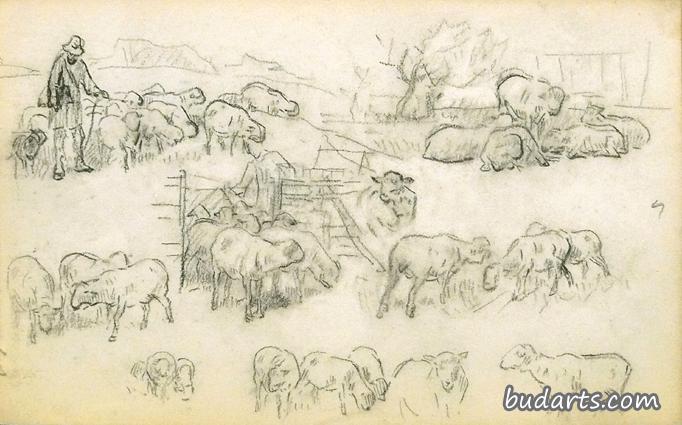绵羊和牧羊人的习作