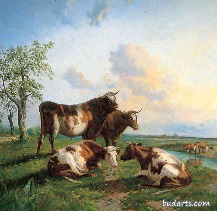斯托尔河畔的牛