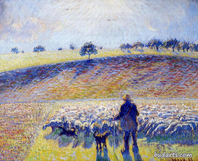 牧羊人和绵羊