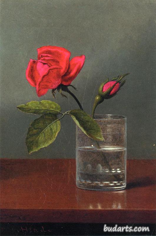 红玫瑰和花蕾放在闪亮的桌子上