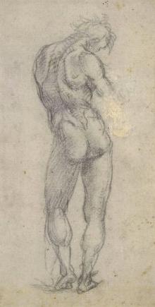 Study of the Nude
