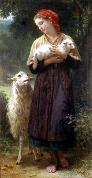 The Newborn Lamb