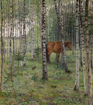 Horse in a Birch Grove
