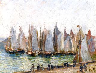 Regatta at the Port of Havre
