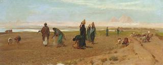 The Sheik's Daughter Sowing the Dourah