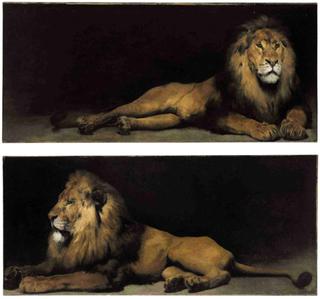 Reclining Lions:  a Pair