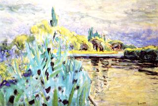 Banks of the Seine: Reeds