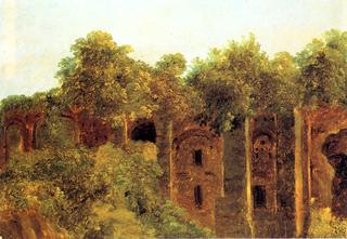 Ruins on the Palatine Hill